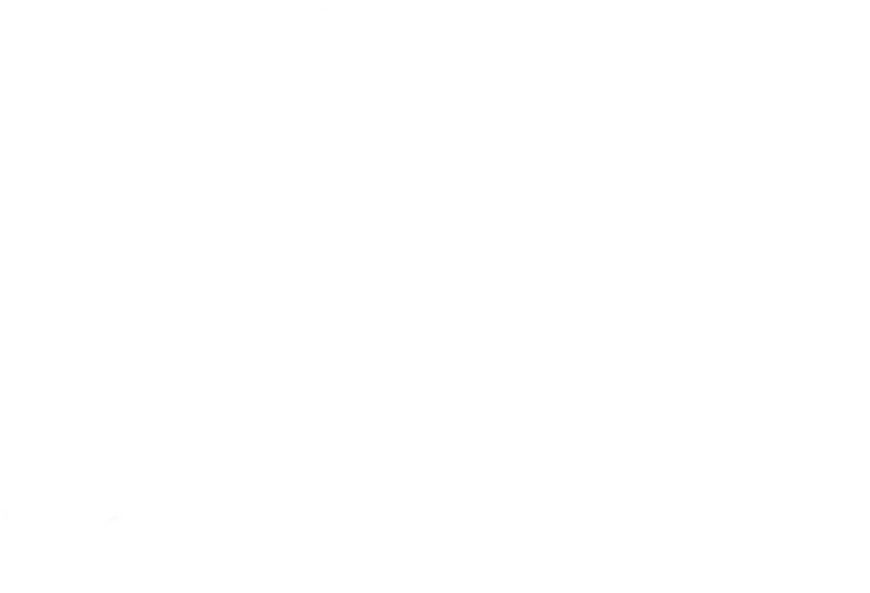 SafetyWing